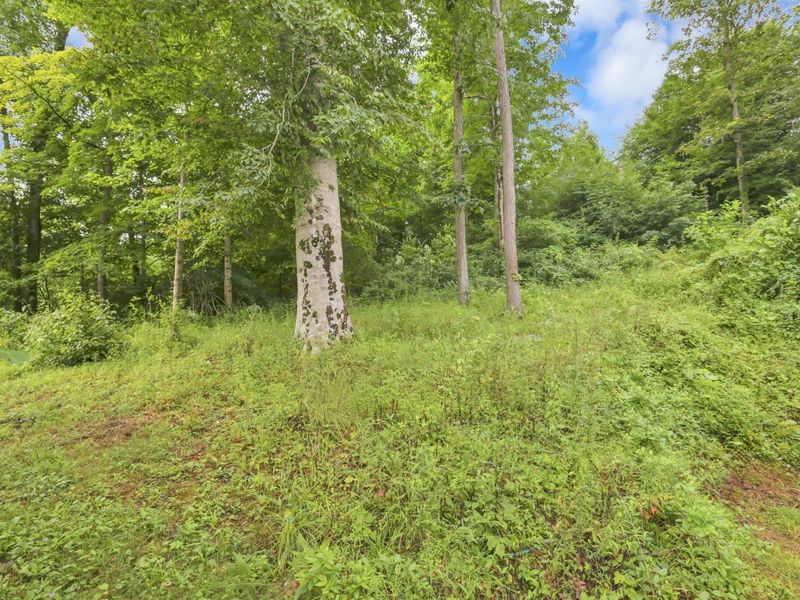 11556 Maysville-Williams Road , Logan, OH 43138 Photo 36