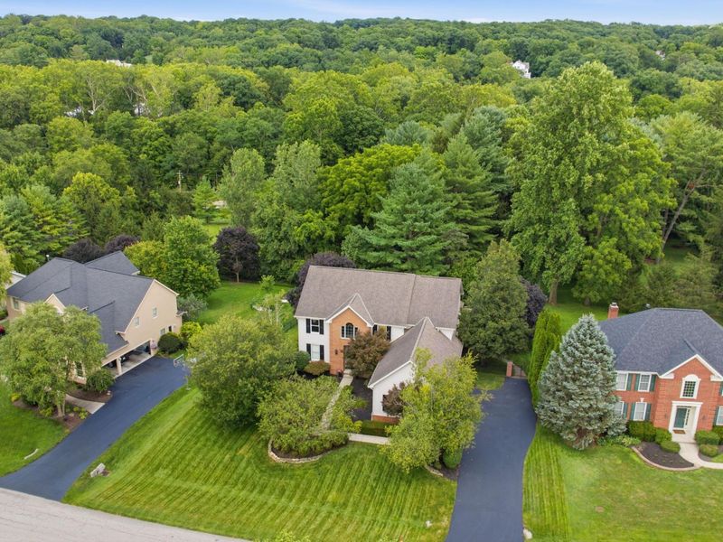 8423 Daventry Court, Powell, OH 43065 Photo 6
