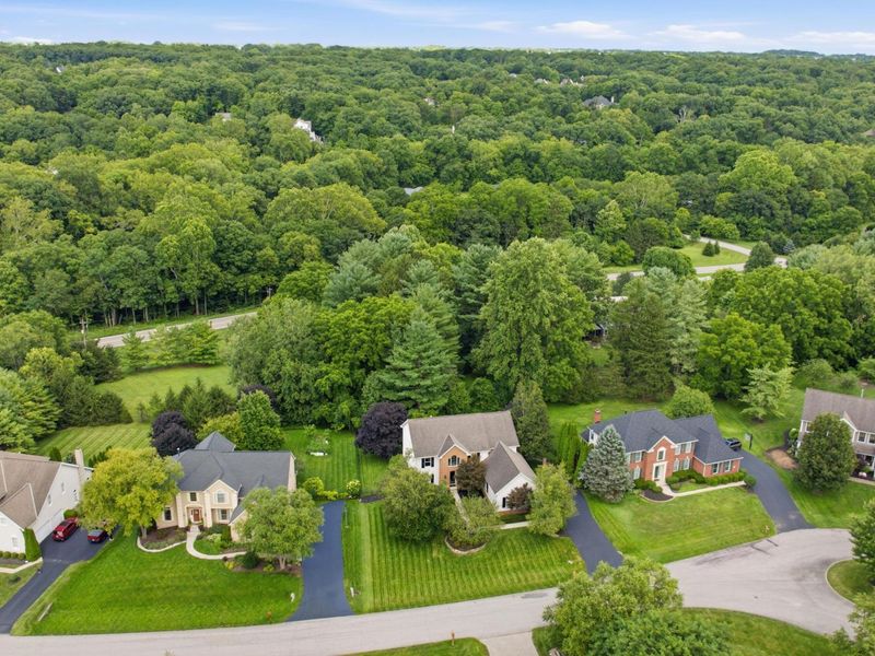 8423 Daventry Court, Powell, OH 43065 Photo 8