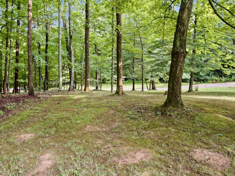 210 Camp Lane, New Concord, OH 43762 Photo 51