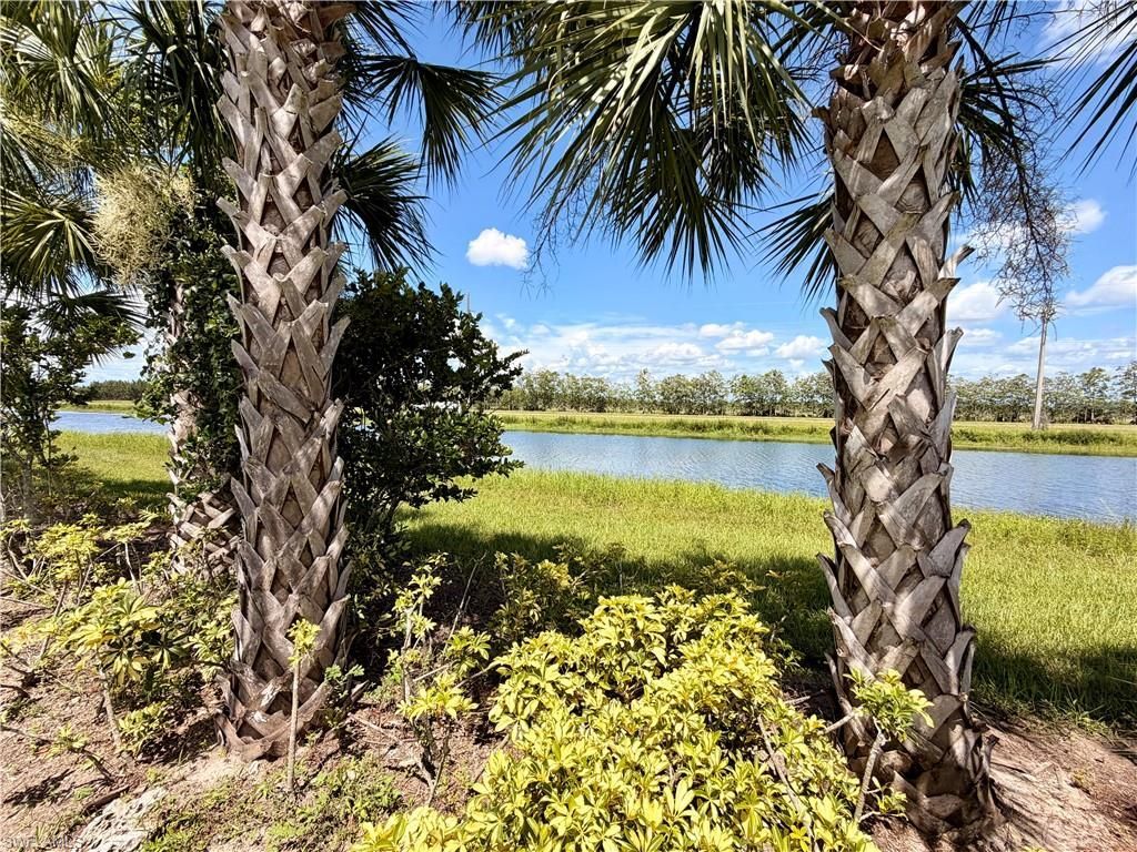 4941 Gambero Way , Immokalee, FL 34142 Photo