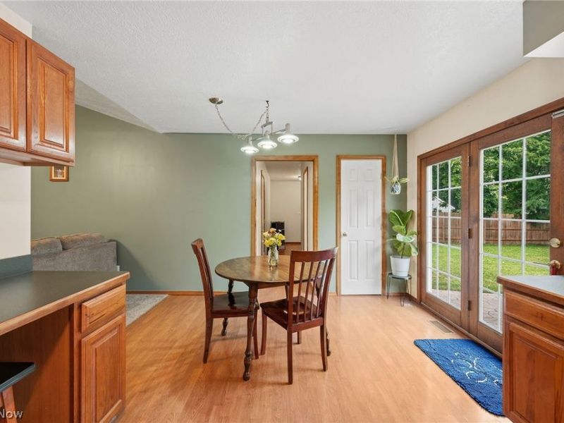 216 Pleasant Street, Lagrange, OH 44050 Photo 12