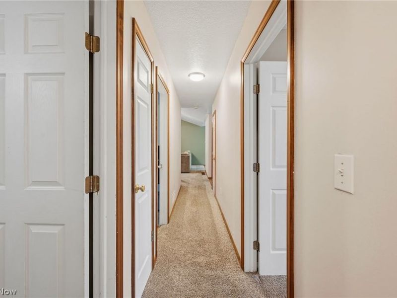 216 Pleasant Street, Lagrange, OH 44050 Photo 15