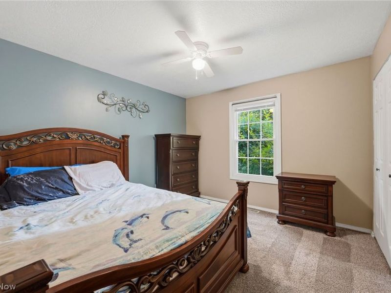216 Pleasant Street, Lagrange, OH 44050 Photo 21