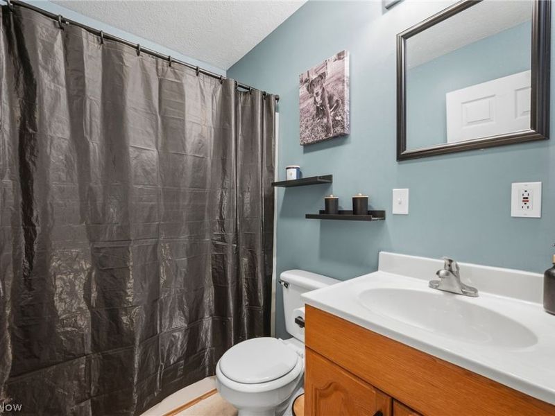 216 Pleasant Street, Lagrange, OH 44050 Photo 24
