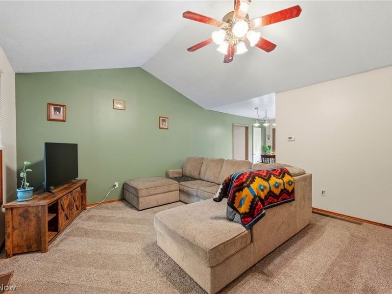 216 Pleasant Street, Lagrange, OH 44050 Photo 4