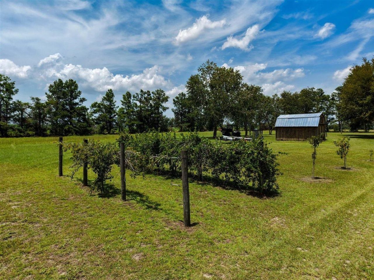 2293 NE Cr 255, Lee, FL 32059 Photo
