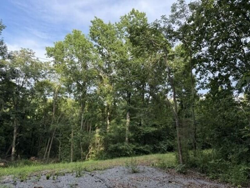 697 Galbraith Road, Brooksville, KY 41004 Photo 2