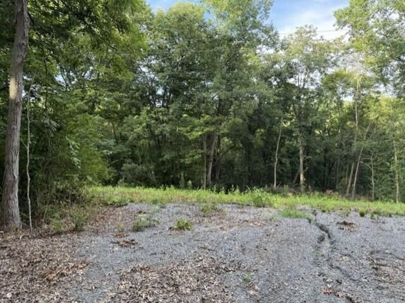 697 Galbraith Road, Brooksville, KY 41004 Photo 3