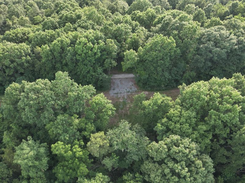 697 Galbraith Road, Brooksville, KY 41004 Photo 4