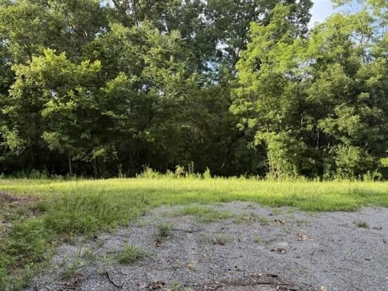 1121 Galbraith Road, Brooksville, KY 41004 Photo 4