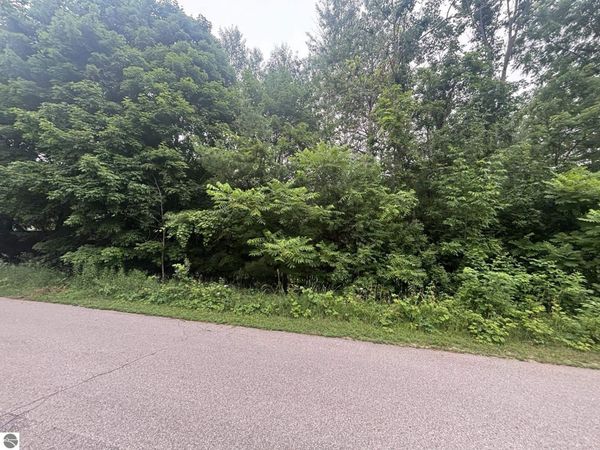 605 Elm Street, Elk Rapids, MI 00000