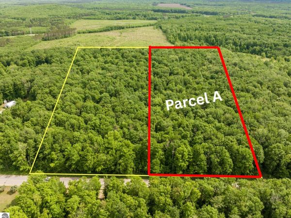 Mancelona Road, Mancelona, MI 49659