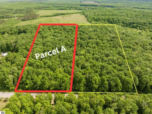 Mancelona Road, Mancelona, MI 49659
