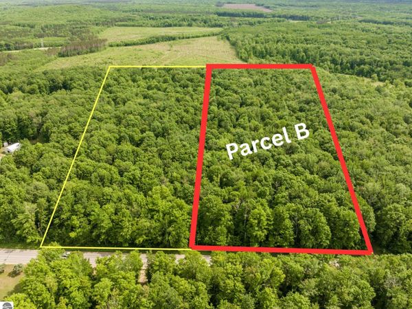 Mancelona Road, Mancelona, MI 49659