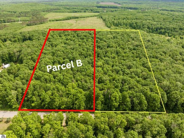 Mancelona Road, Mancelona, MI 49659