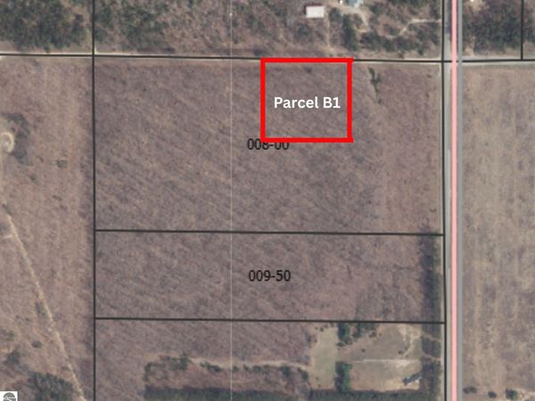 1 Peterson Road, Mancelona, MI 49659