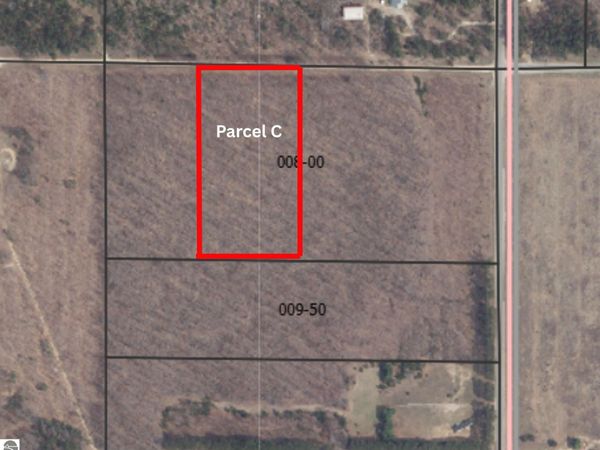 Peterson Road, Mancelona, MI 49659