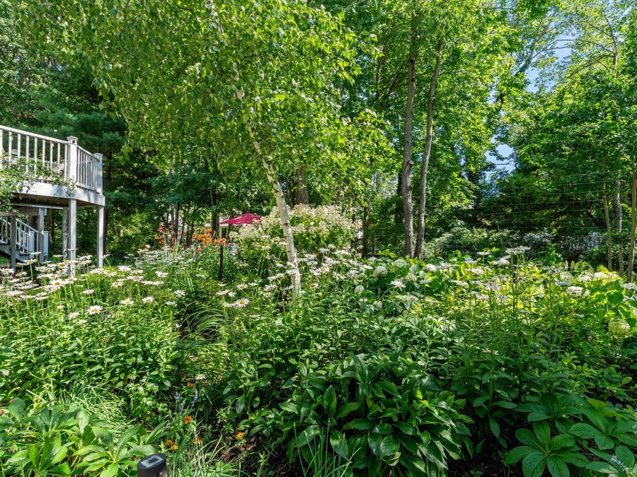 Property Image 64