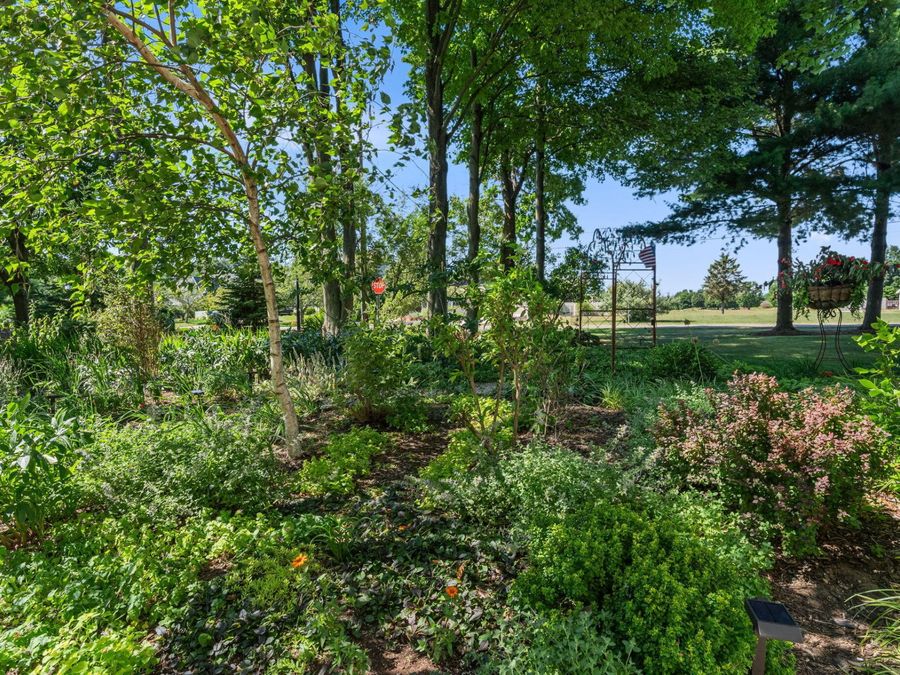 Property Image 67