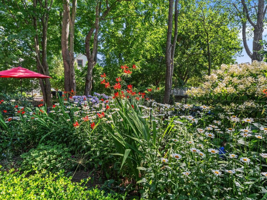 Property Image 70