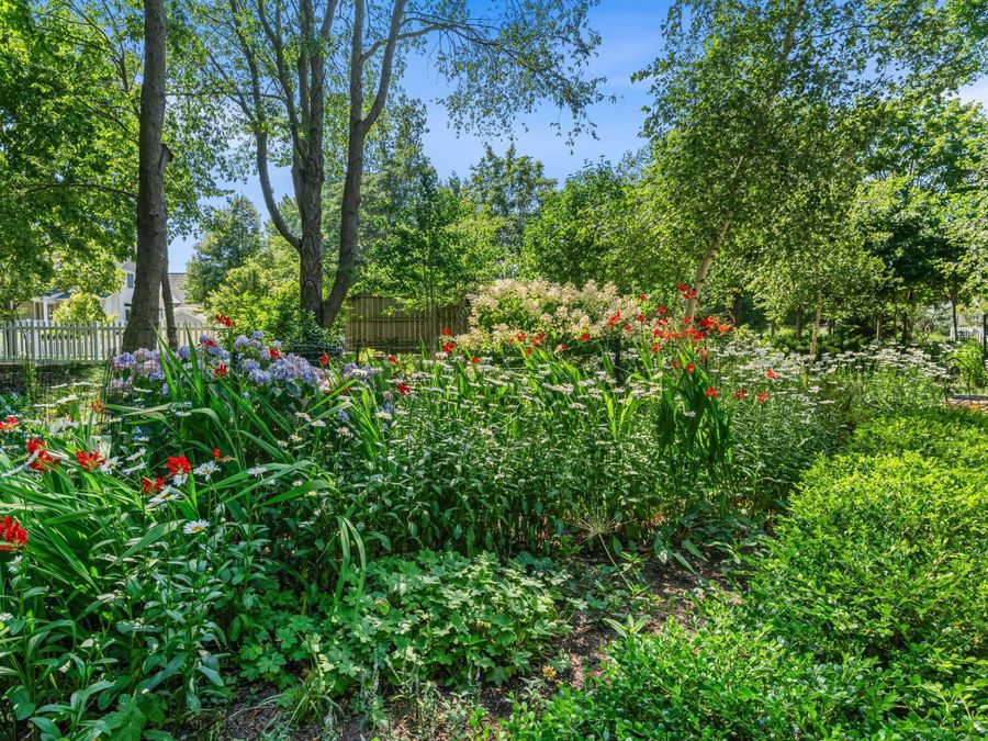 Property Image 71