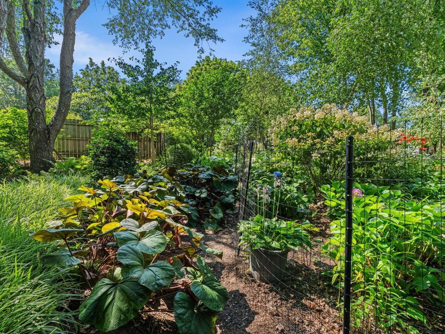 Property Image 74
