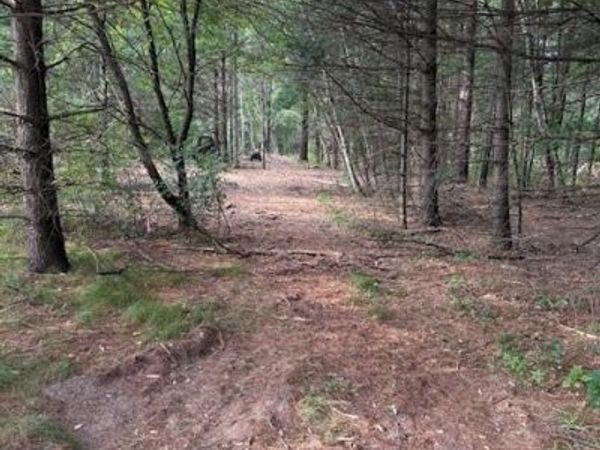 Lot 2 24 3/4 Street, Chetek, WI 54728