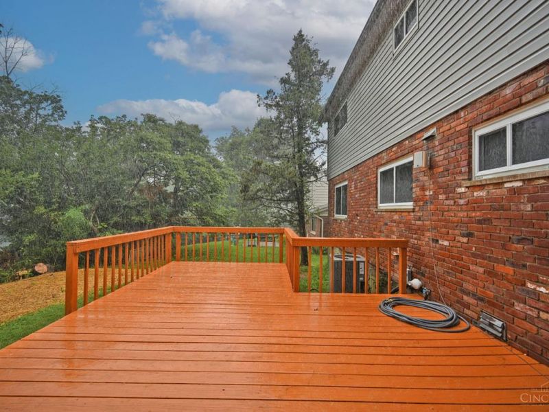 9133 Fontainebleau Terrace, Cincinnati, OH 45231 Photo 46