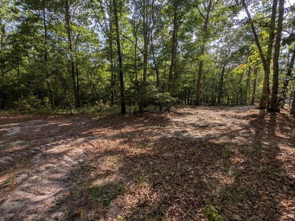 Tbd Peyton Drive, Eagle Springs, NC 27242