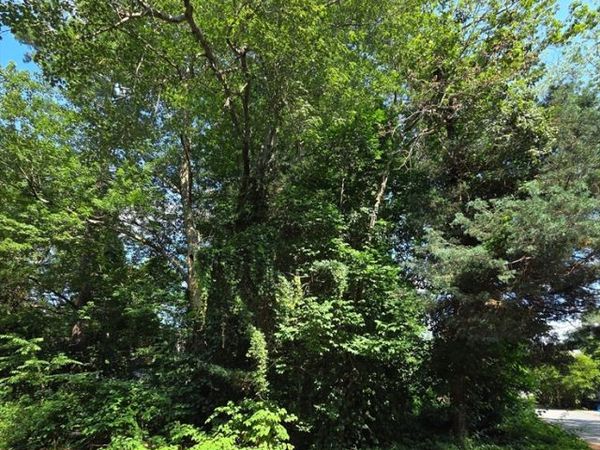 8 Island Rd, Norton, MA 02766