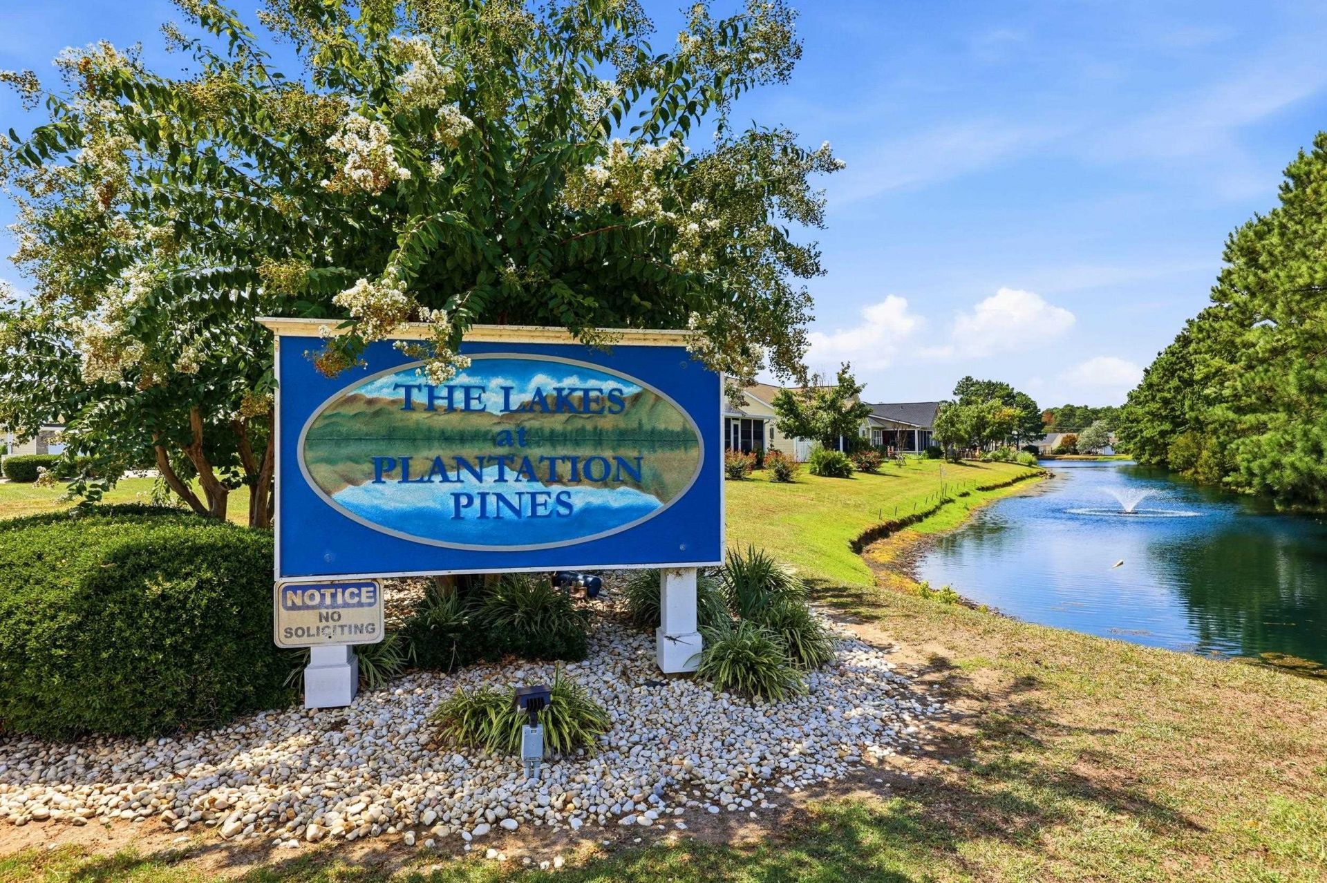 855 Wintercreeper Dr.  Photo 39