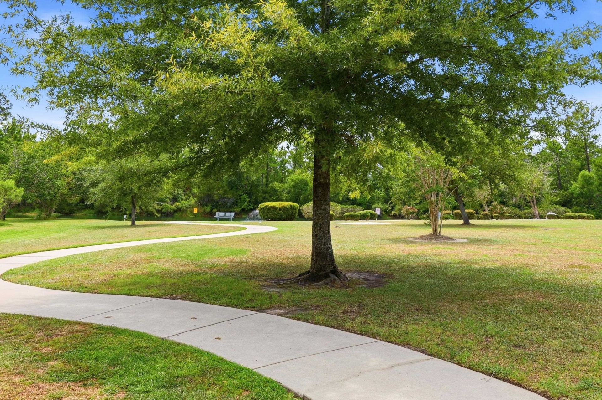 855 Wintercreeper Dr.  Photo 44