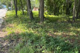 1206 Folly Road photo 4