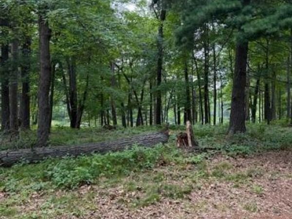 Lot 3 24 3/4 Street, Chetek, WI 54728