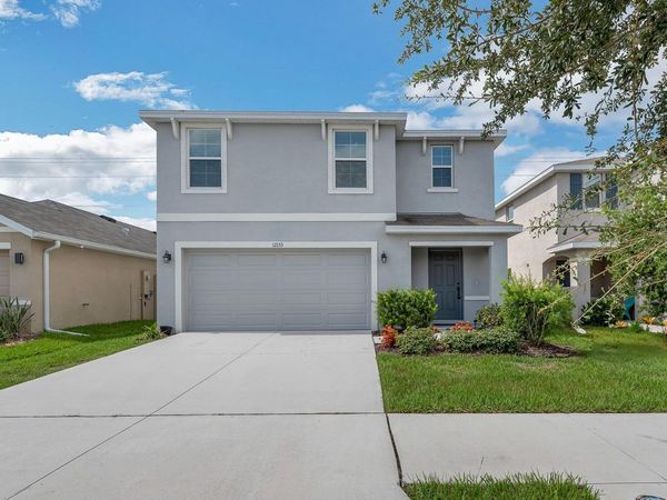 12153 DOWNY BIRCH DRIVE, RIVERVIEW, FL 33569