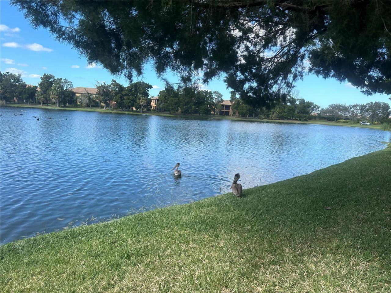 220 Cape Harbour Loop, Unit 108, Bradenton, FL 34212 Photo
