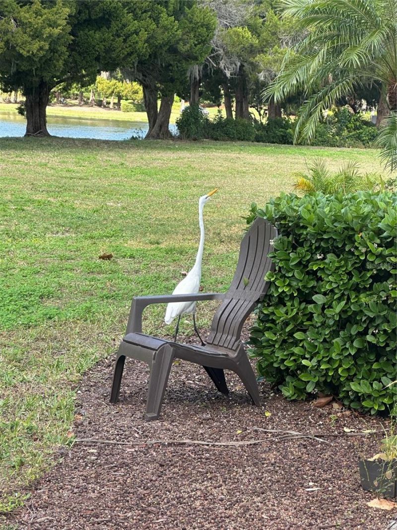 220 Cape Harbour Loop, Unit 108, Bradenton, FL 34212 Photo