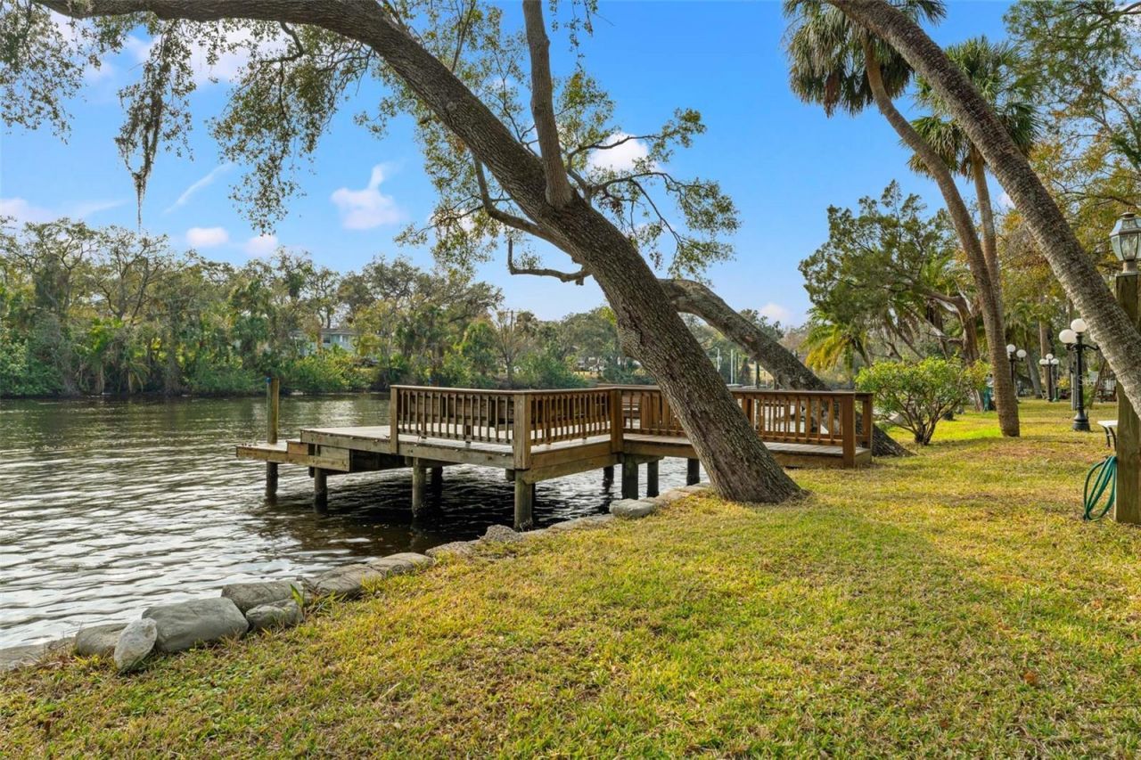 906 W Henry Avenue, Tampa, FL 33604 Photo