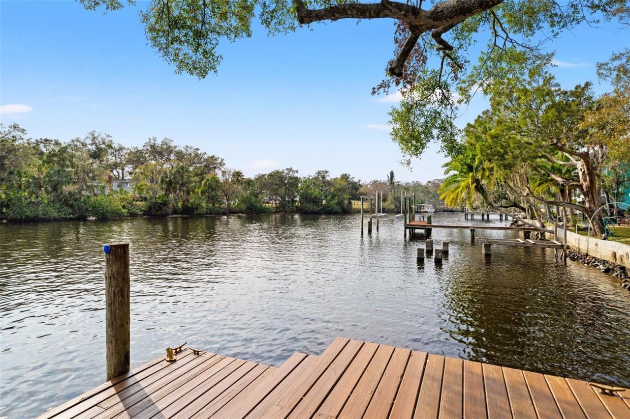 906 W Henry Avenue, Tampa, FL 33604 Photo