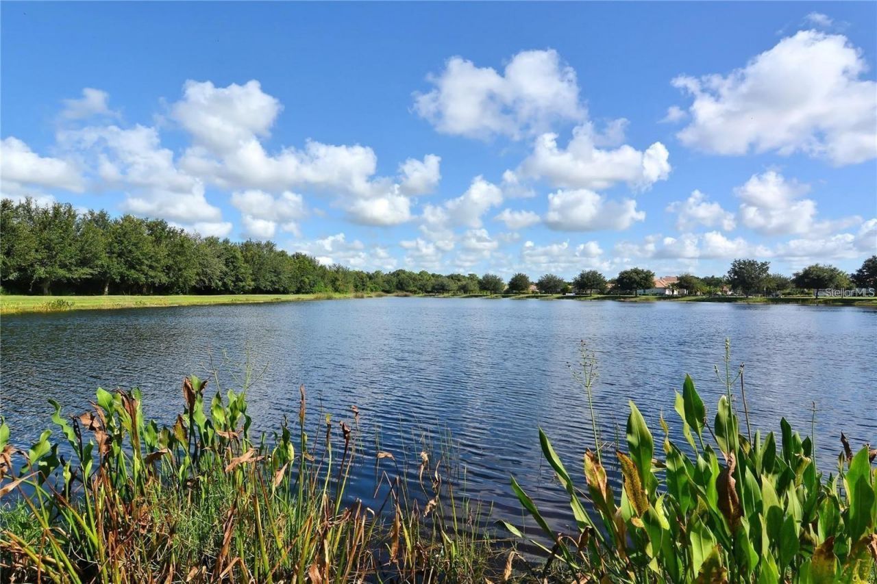1111 Brambling Court, Bradenton, FL 34212 Photo
