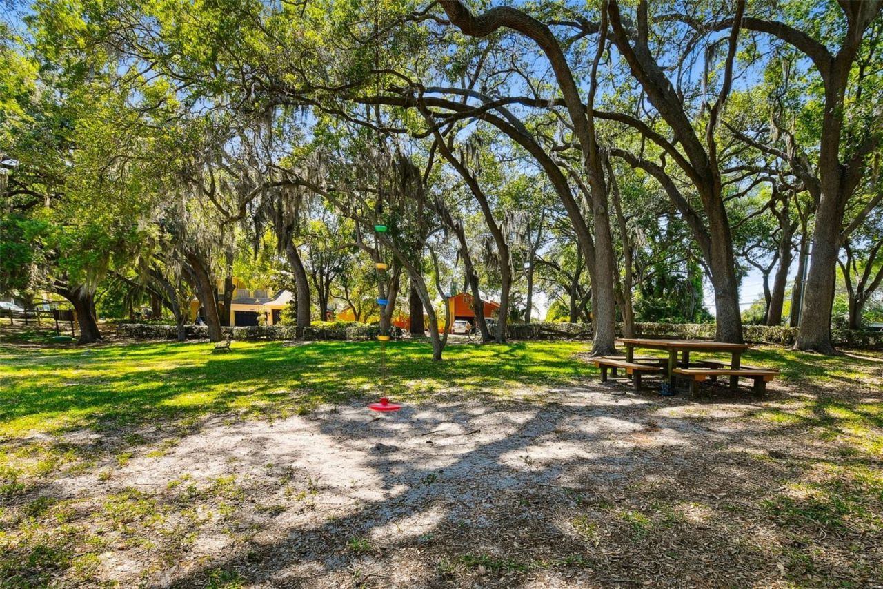 2781 Valencia Lane W, Palm Harbor, FL 34684 Photo