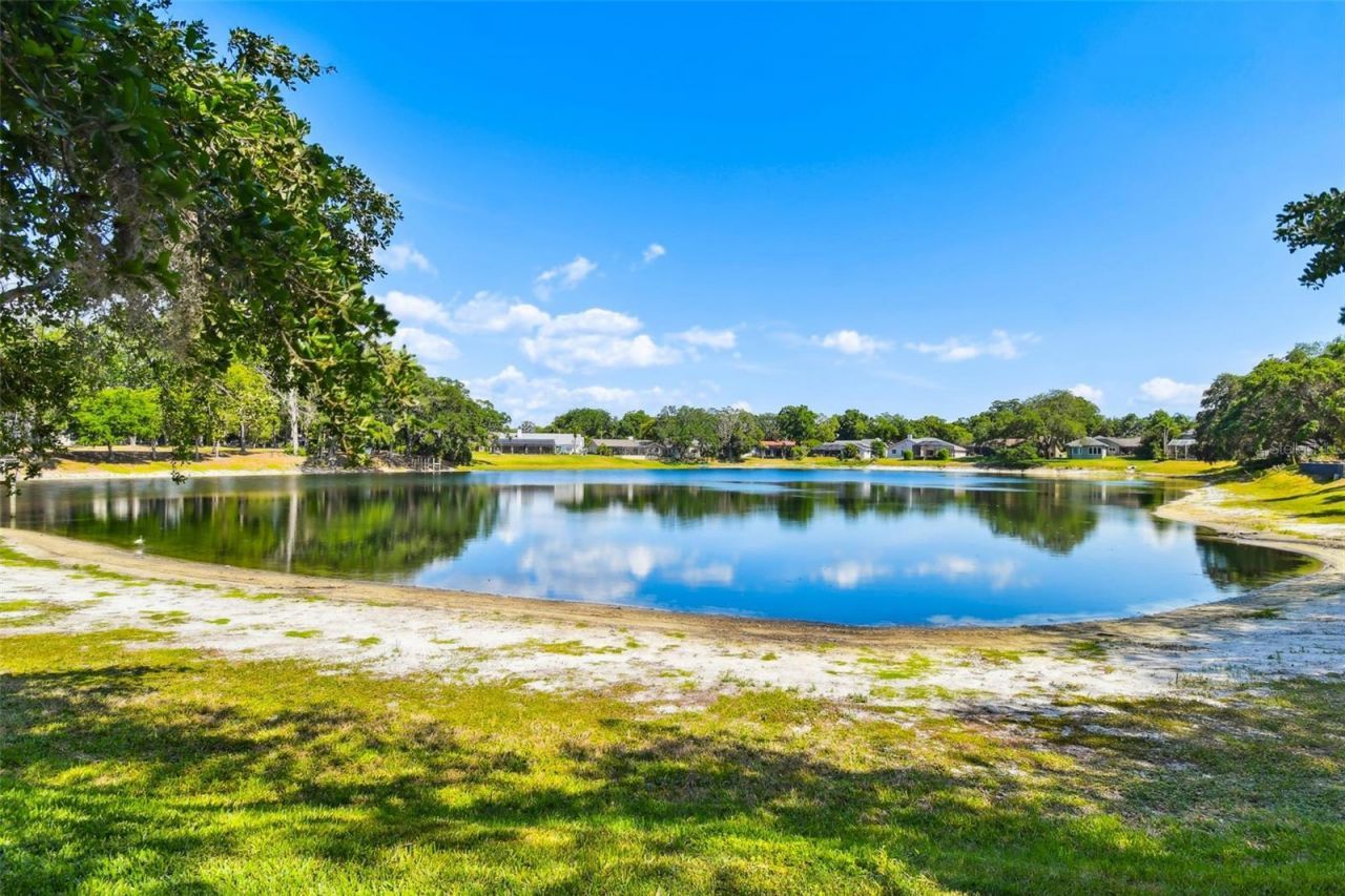 2781 Valencia Lane W, Palm Harbor, FL 34684 Photo