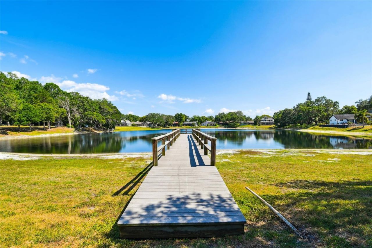 2781 Valencia Lane W, Palm Harbor, FL 34684 Photo