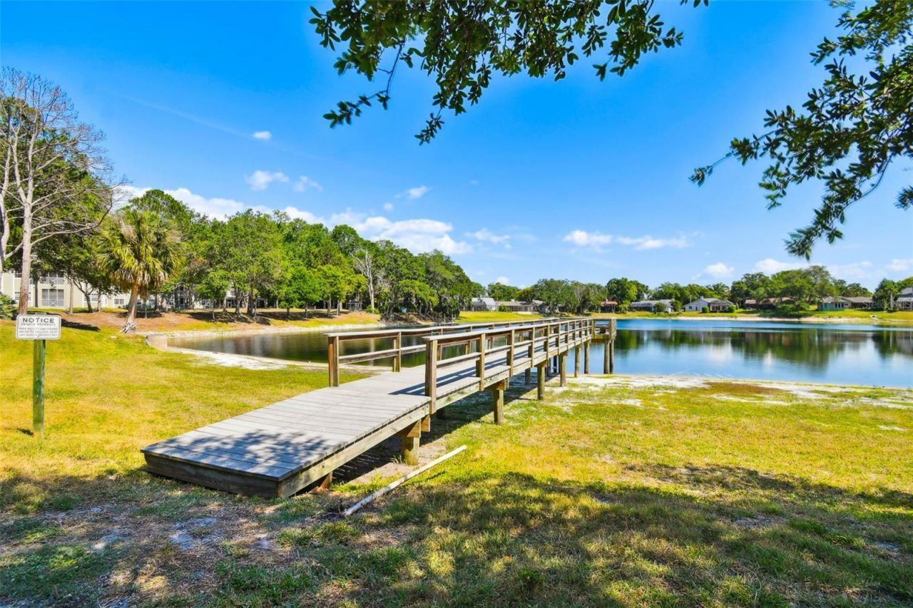 2781 Valencia Lane W, Palm Harbor, FL 34684 Photo