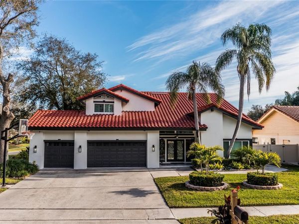 4123 CROSSWATER DRIVE, TAMPA, FL 33615