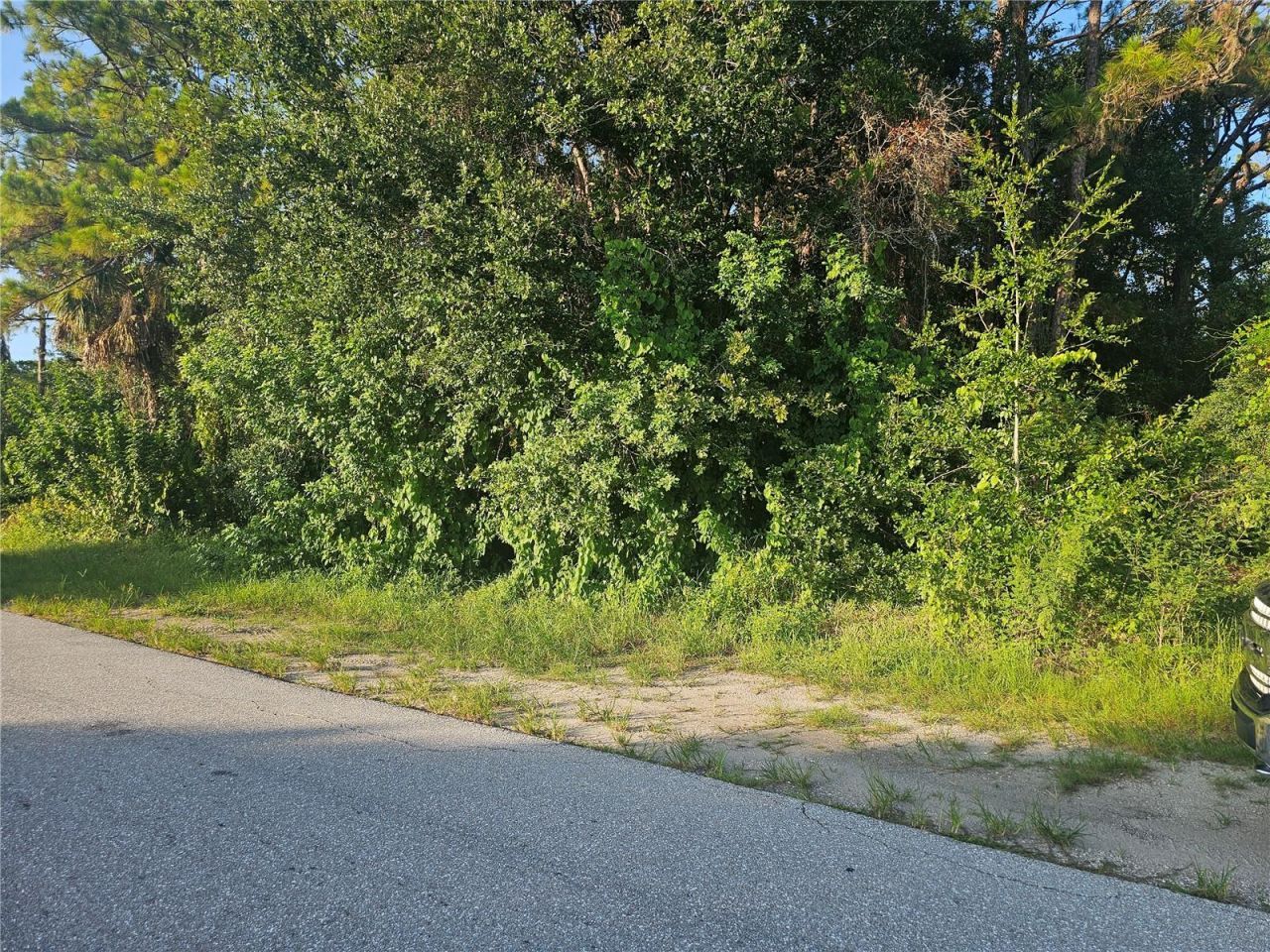 205 Serenade Drive, Lake Placid, FL 33852 Photo