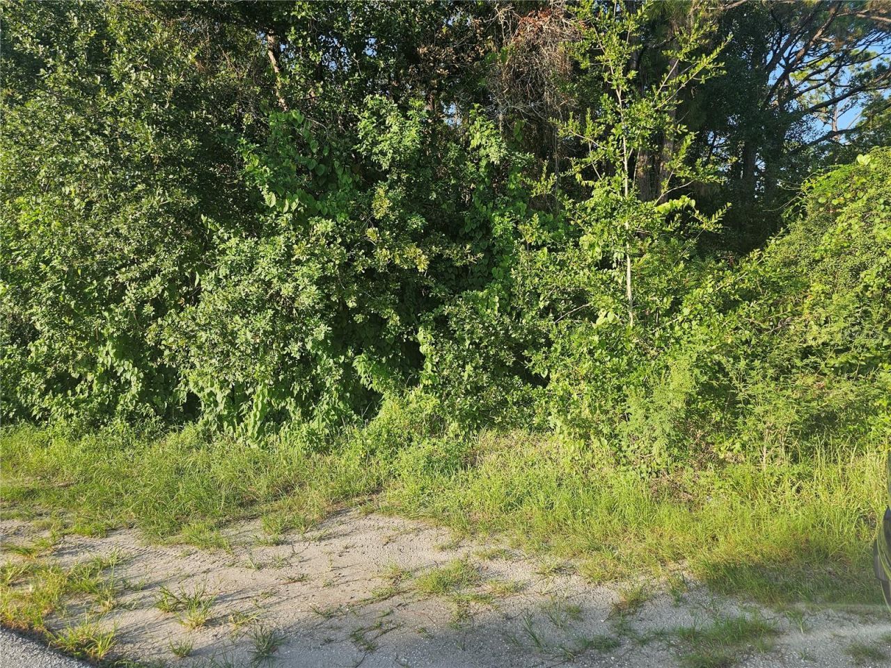 205 Serenade Drive, Lake Placid, FL 33852 Photo