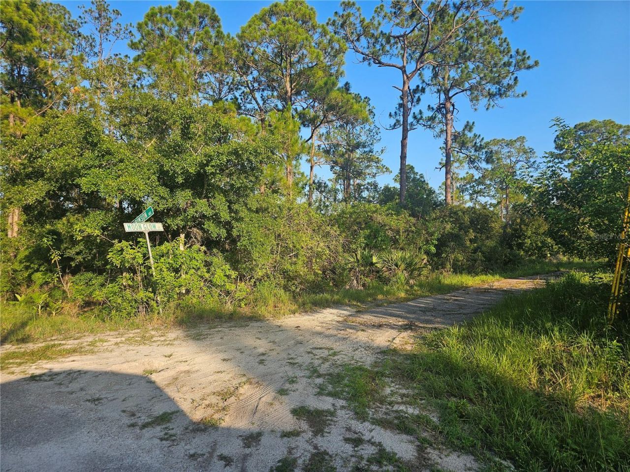 233 Moon Glow Court, Lake Placid, FL 33852 Photo