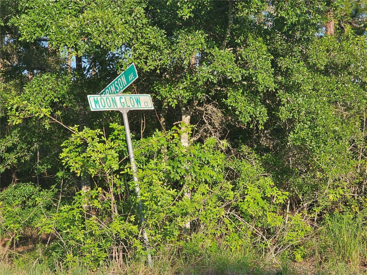 233 Moon Glow Court, Lake Placid, FL 33852 Photo